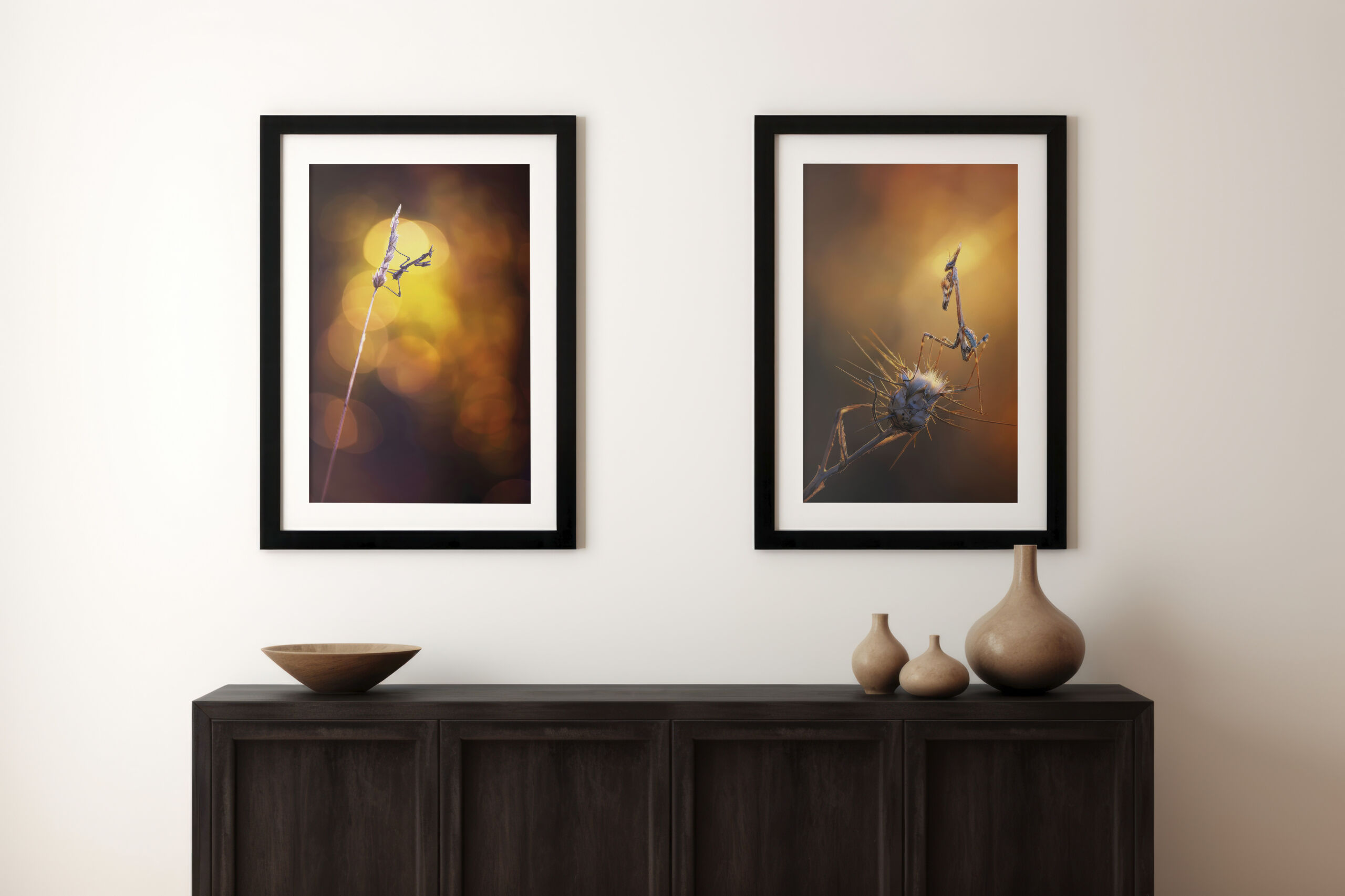 Awakening wonders – Image 4