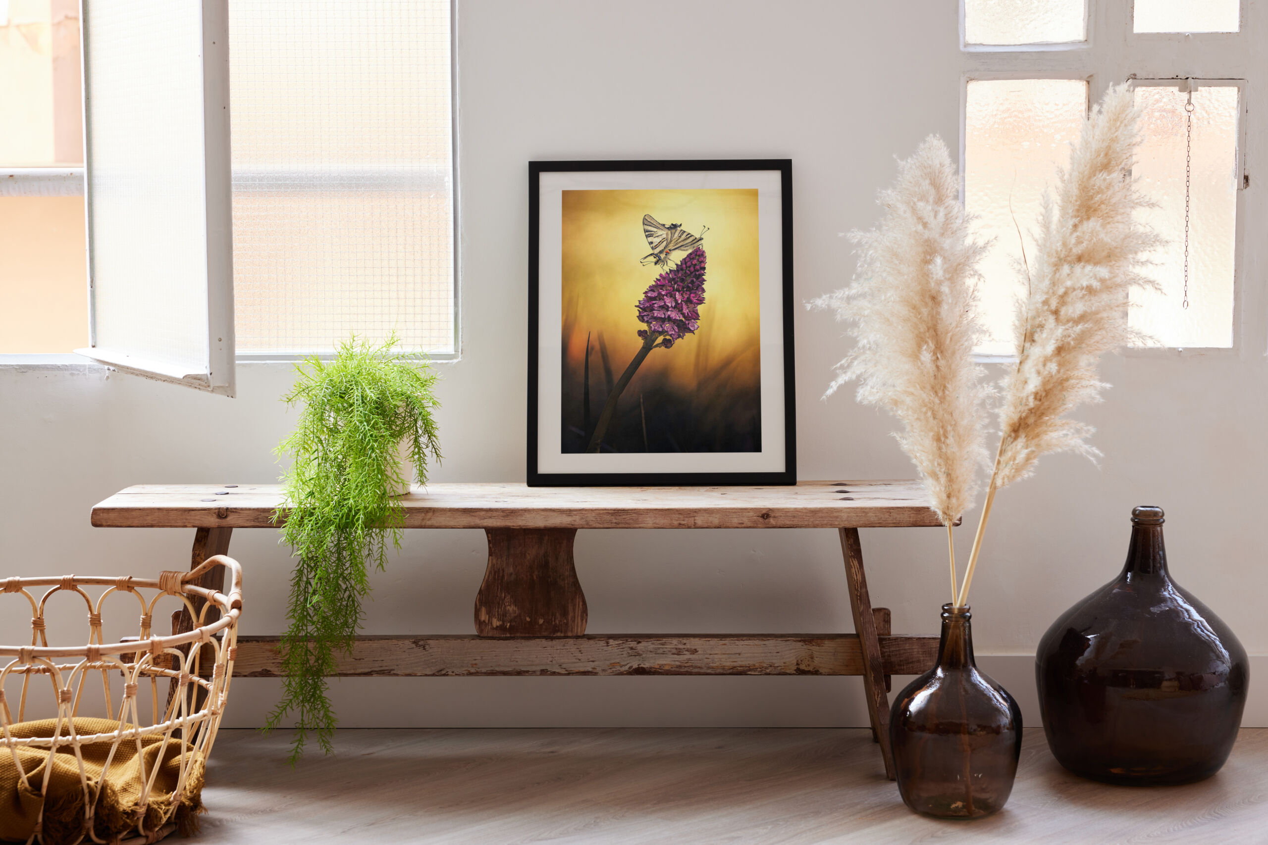 Nouveau monde – Image 5