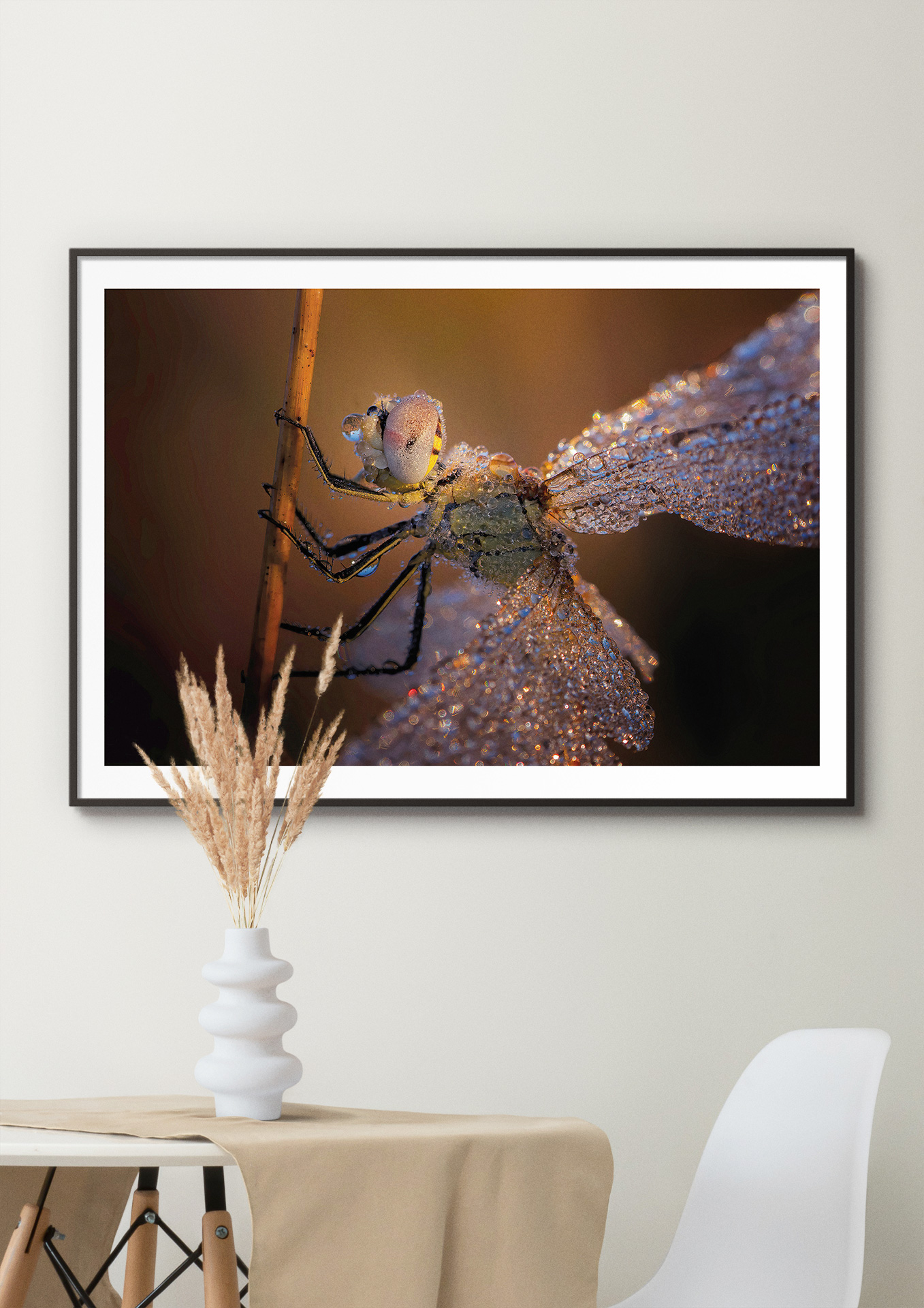 Il était une fois la lumière