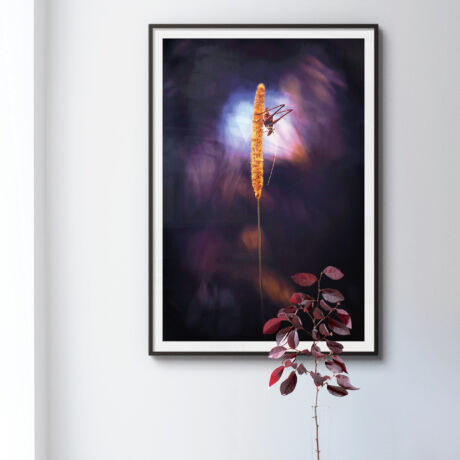 Le ciel est si grand qu'il se loge dans les toutes petites choses