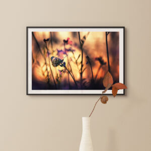 Le soir vermeil ressemble à l'aurore