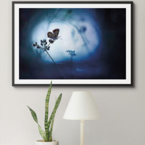 Perdu dans la liberté