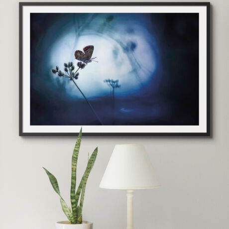 Perdu dans la liberté