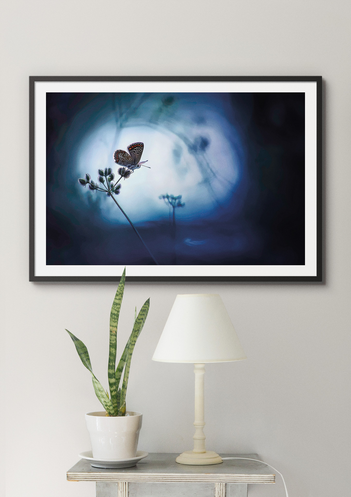 Perdu dans la liberté