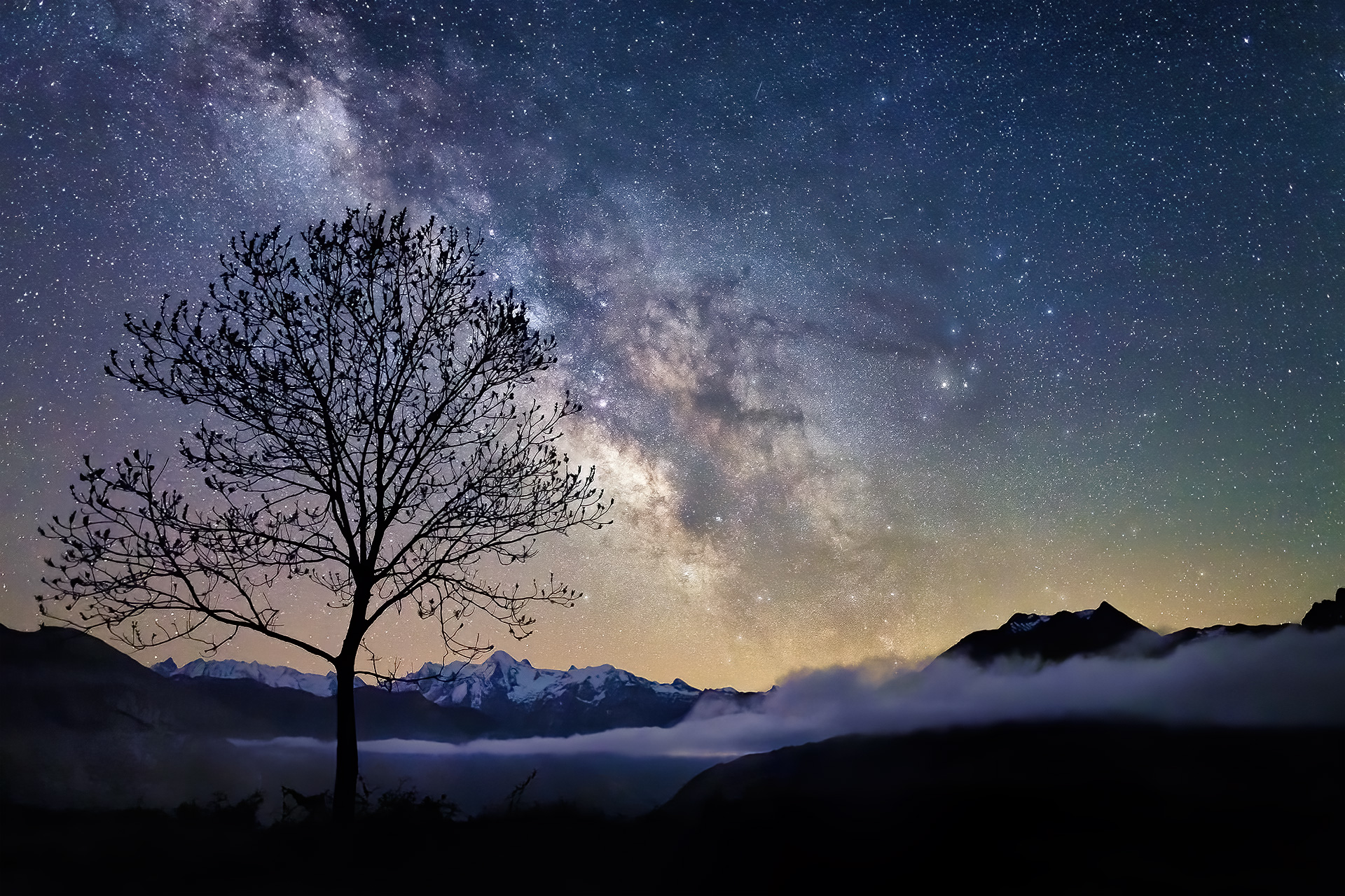 L’échec parfait – Image 2