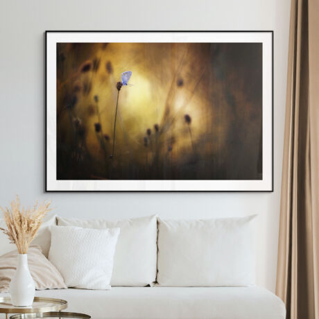 everything in its right place