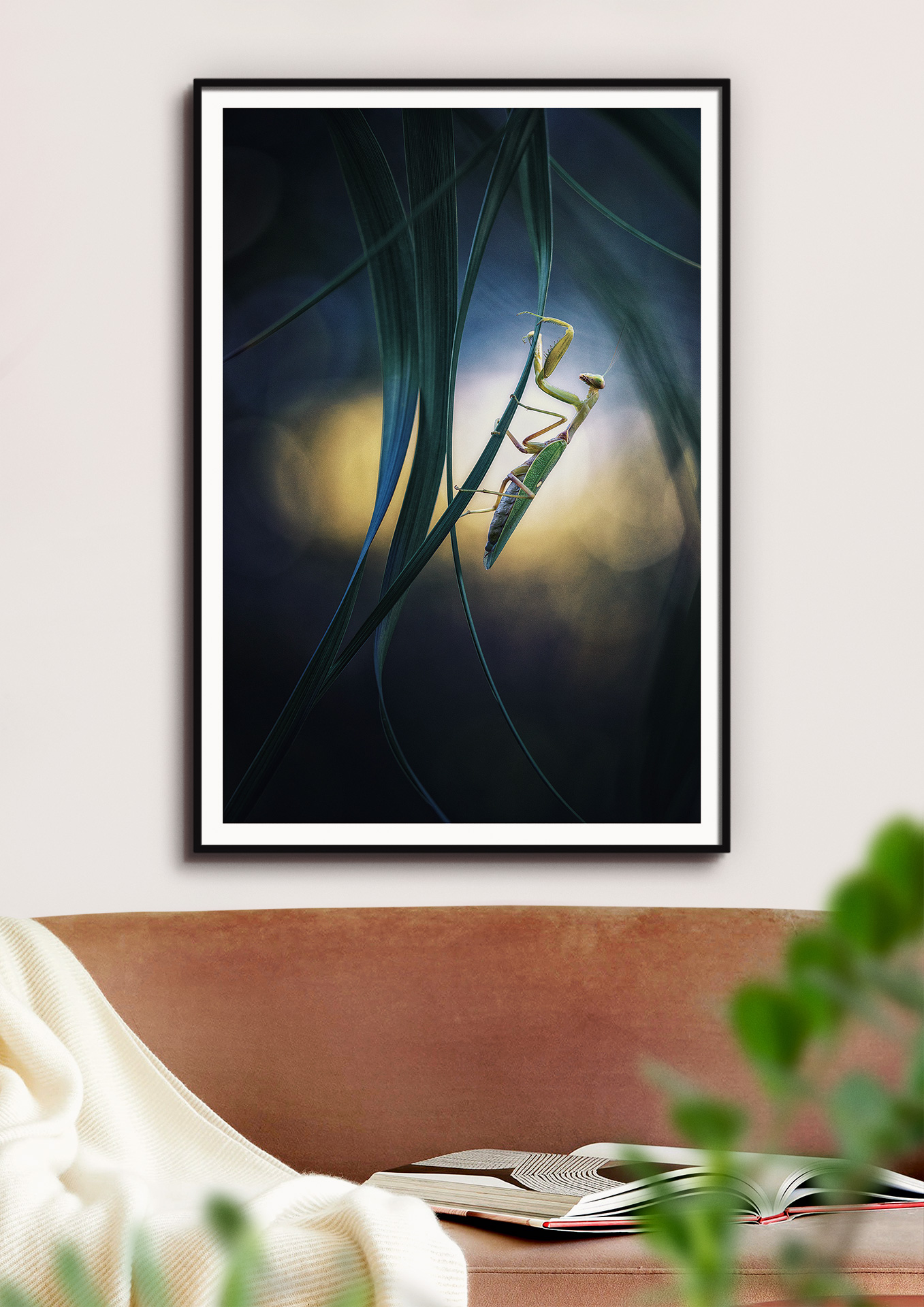 Nouveau monde – Image 3