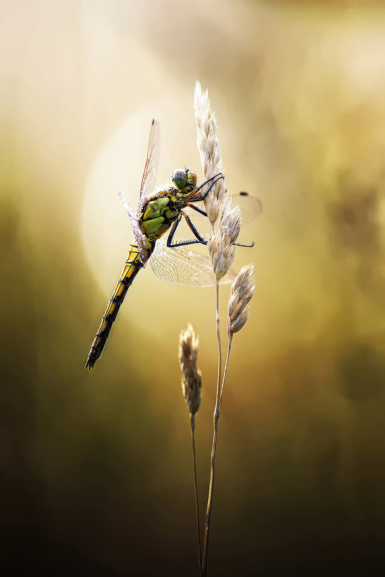 Innerself respect ! – Image 2