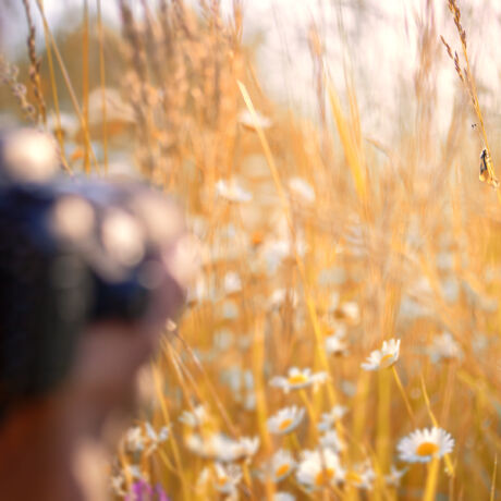 Stage Photo Ascalaphes