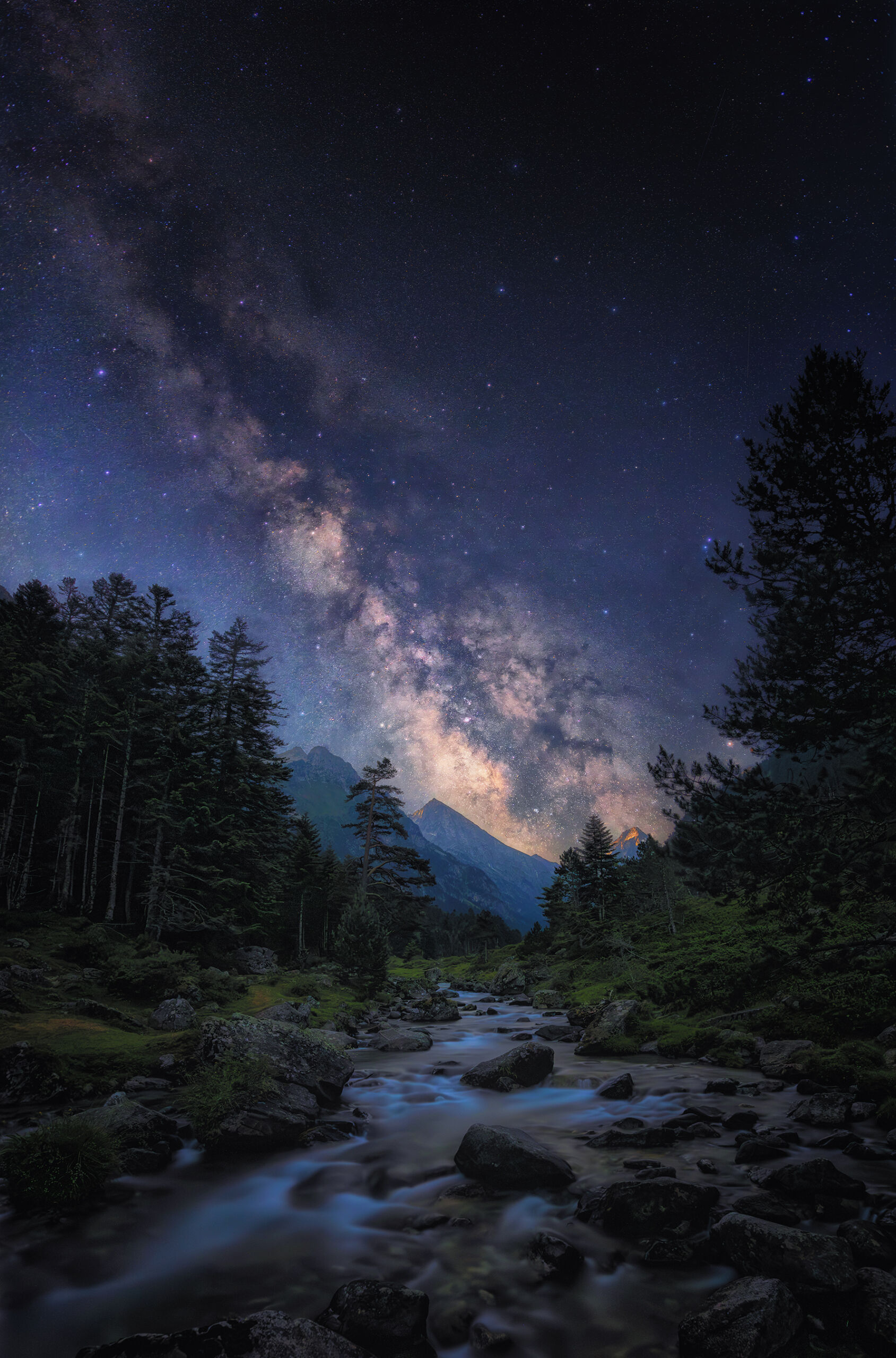 Near Light – Image 2