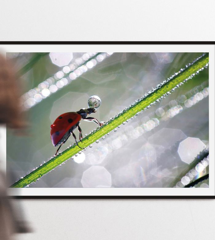 exposition-reytet-nicolas-waugh-pak-01