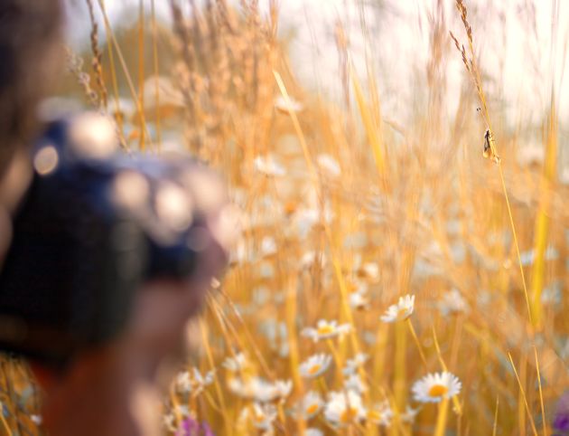 stage-nicolas-reytet_fyr